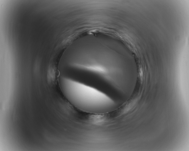 X0000099930139200805231238