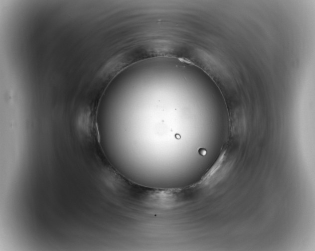 X0000099930140200805231238