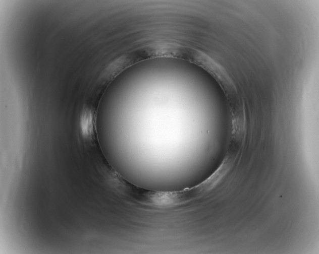 X0000099930142200805231238