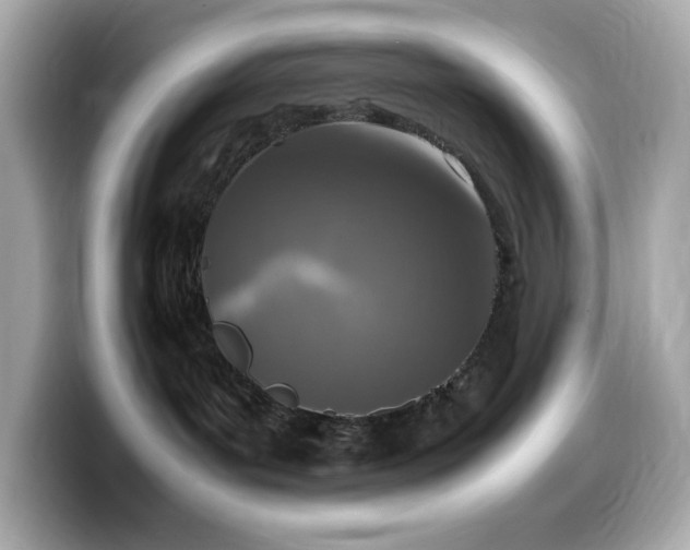 X0000099930143200805231238