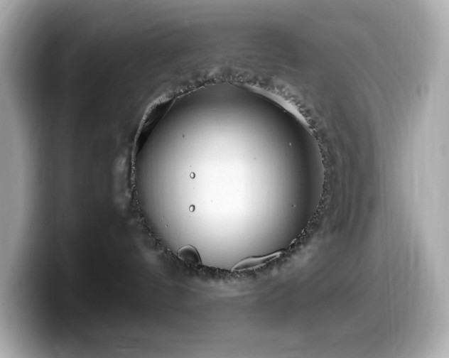 X0000099930144200805231238