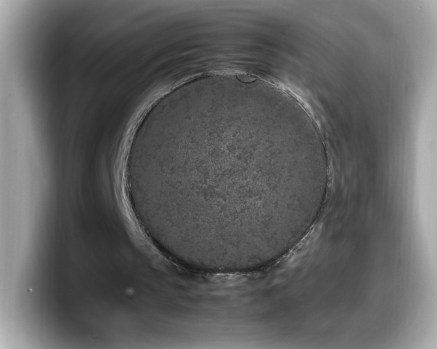 X0000099930145200805231238