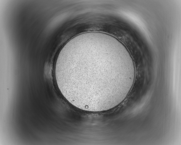 X0000099930146200805231238