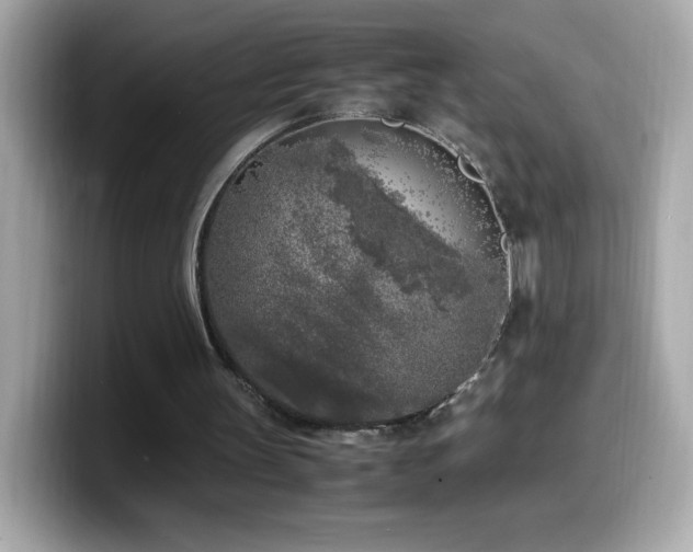 X0000099930147200805231238