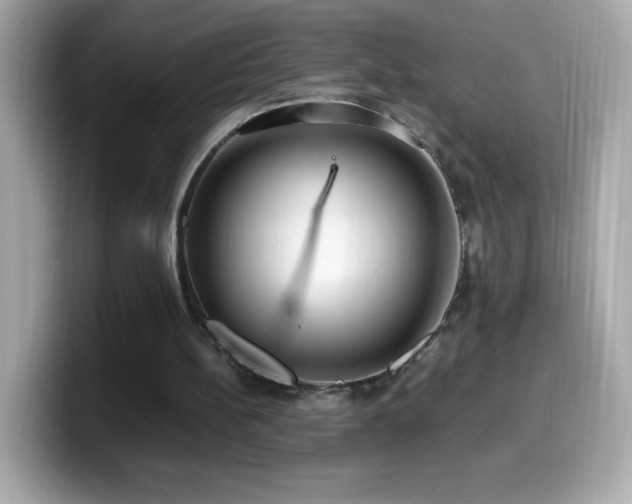 X0000099930148200805231238