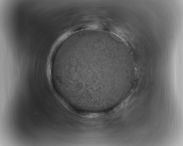 X0000099930149200805231238