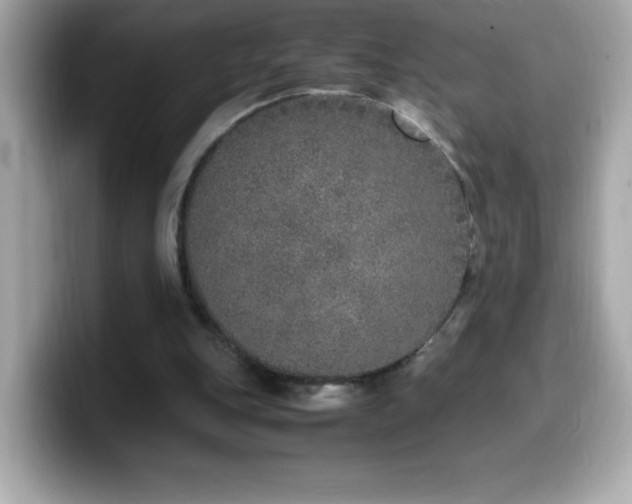 X0000099930151200805231238