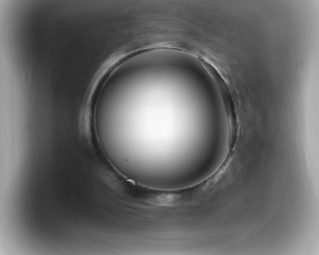 X0000099930152200805231238