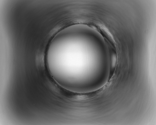 X0000099930154200805231238