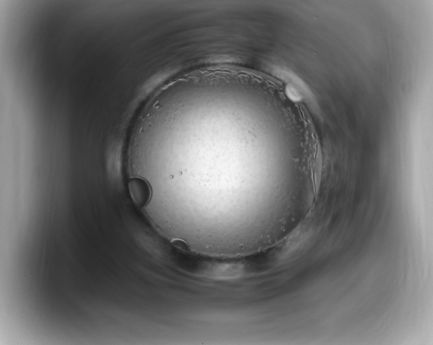 X0000099930155200805231238