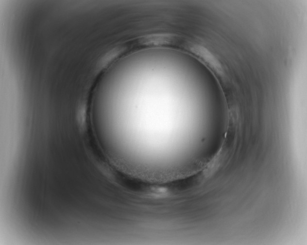 X0000099930159200805231238