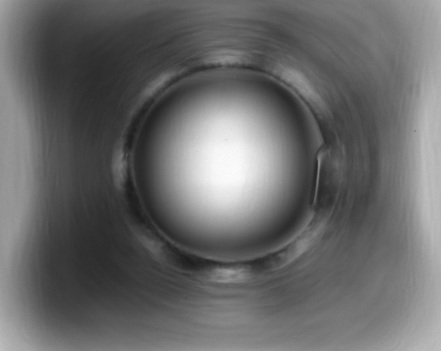 X0000099930160200805231238