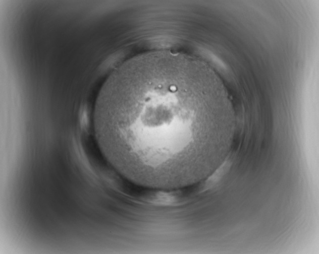 X0000099930166200805231238