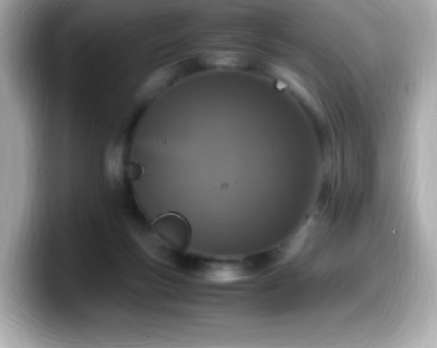 X0000099930167200805231238