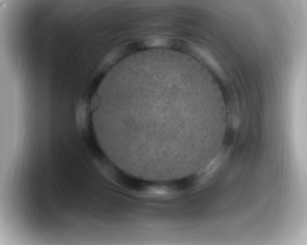 X0000099930171200805231238