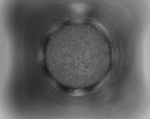 X0000099930173200805231238