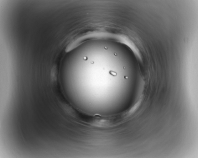 X0000099930174200805231238