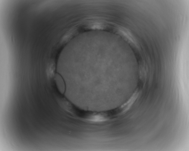 X0000099930175200805231238