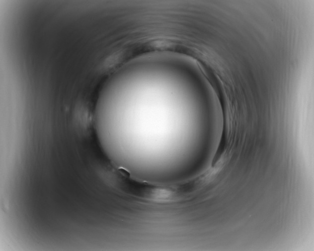 X0000099930176200805231238