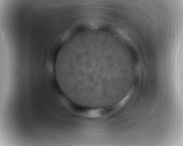 X0000099930178200805231238