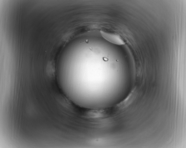 X0000099930179200805231238