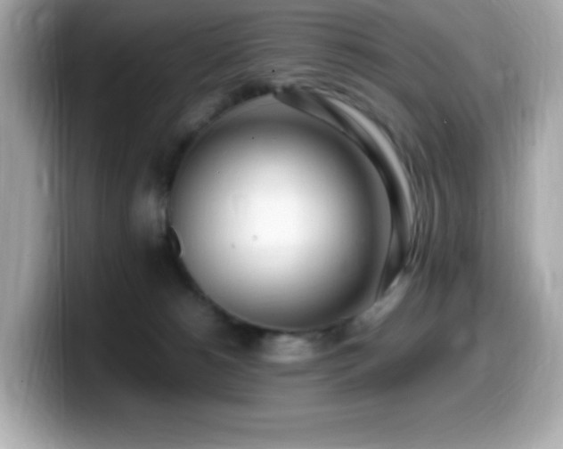 X0000099930180200805231238