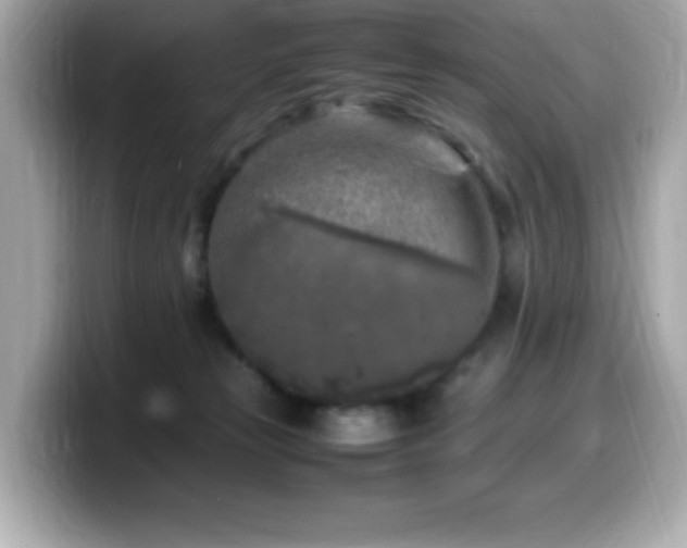 X0000099930181200805231238