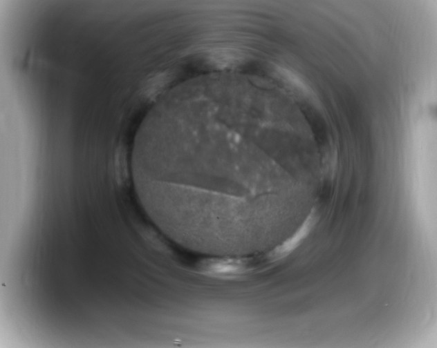 X0000099930182200805231238