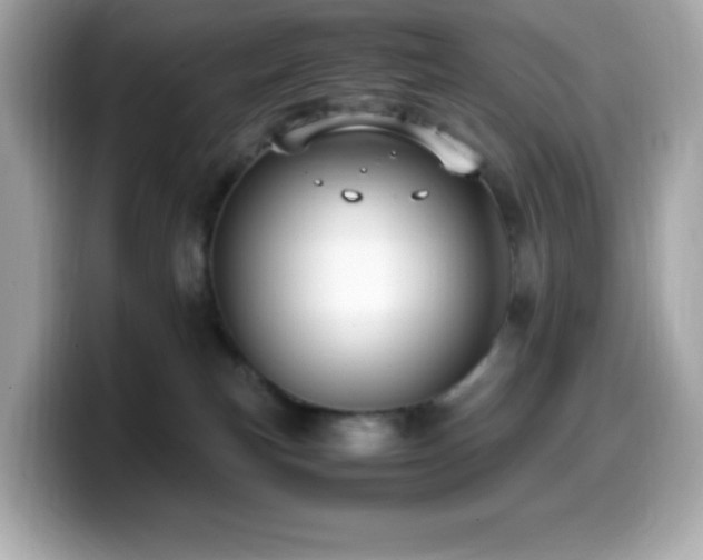 X0000099930183200805231238