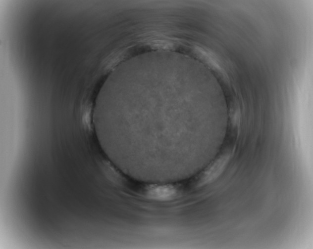 X0000099930185200805231238