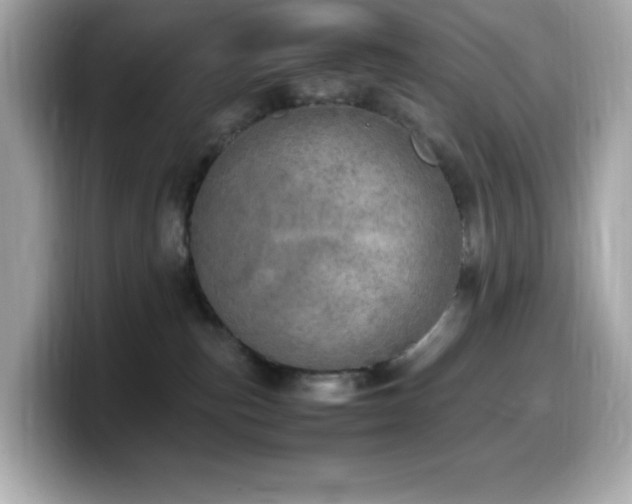 X0000099930187200805231238