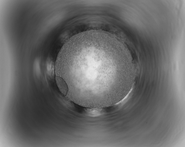 X0000099930191200805231238