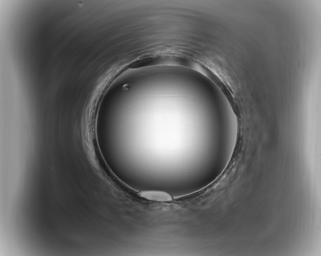 X0000099930193200805231238