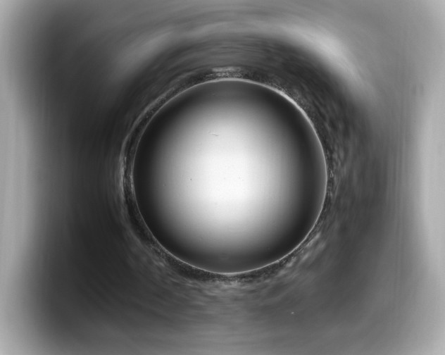 X0000099930194200805231238