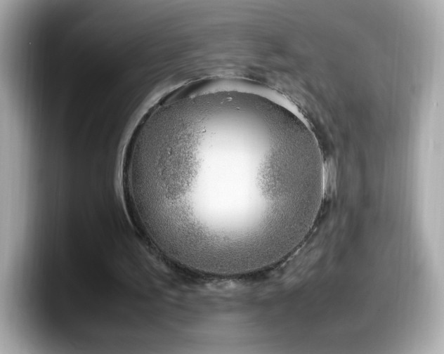 X0000099930195200805231237