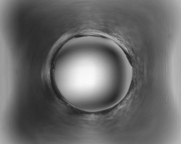 X0000099930197200805231237