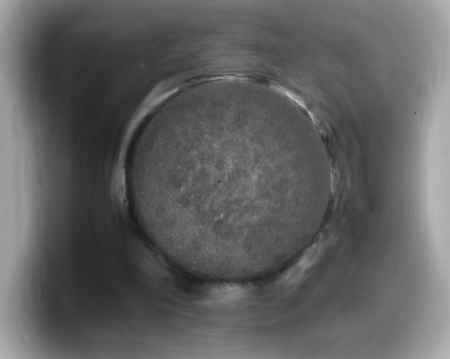 X0000099930198200805231237