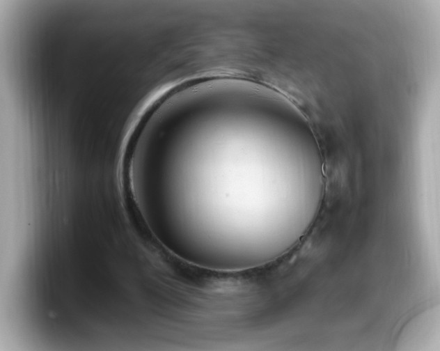 X0000099930200200805231237