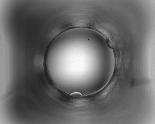 X0000099930201200805231237