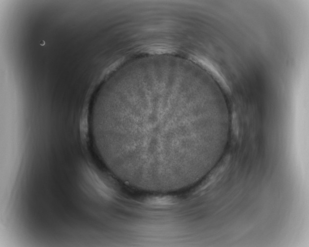 X0000099930202200805231237