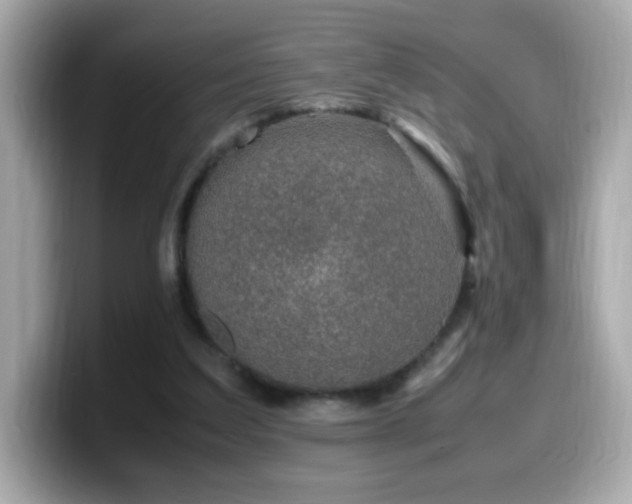 X0000099930203200805231237