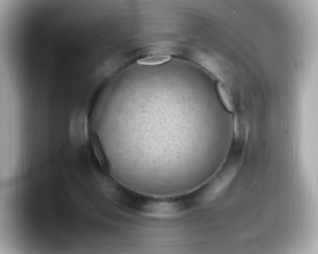 X0000099930205200805231237