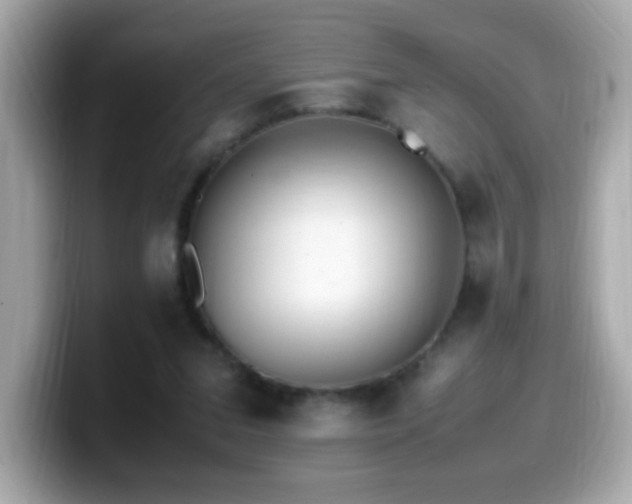 X0000099930207200805231237