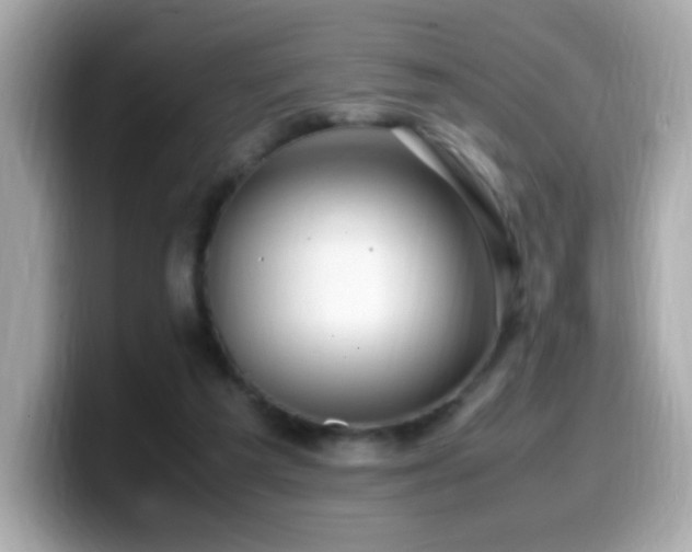 X0000099930209200805231237