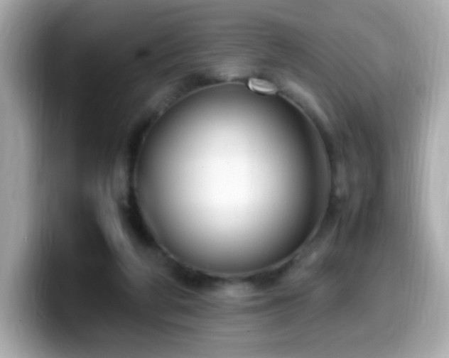 X0000099930210200805231237