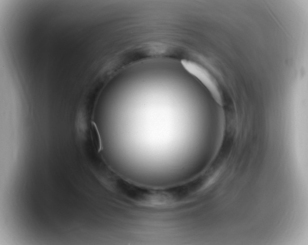 X0000099930215200805231237