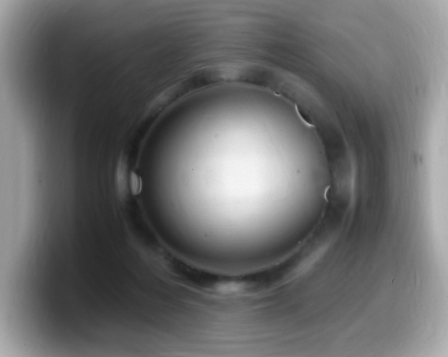 X0000099930216200805231237