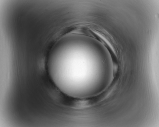 X0000099930217200805231237