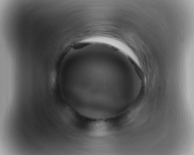 X0000099930219200805231237