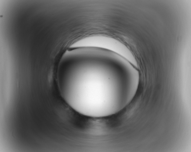 X0000099930221200805231237